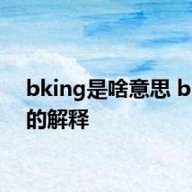 bking是啥意思 bking的解释