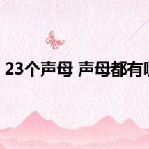 23个声母 声母都有哪些