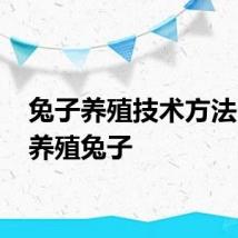 兔子养殖技术方法 怎么养殖兔子