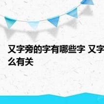 又字旁的字有哪些字 又字旁与什么有关