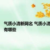 气质小清新网名 气质小清新网名有哪些