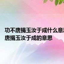 功不唐捐玉汝于成什么意思 功不唐捐玉汝于成的意思