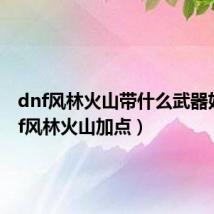 dnf风林火山带什么武器好（dnf风林火山加点）