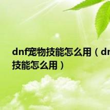 dnf宠物技能怎么用（dnf宠物技能怎么用）