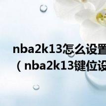 nba2k13怎么设置键位（nba2k13键位设置）