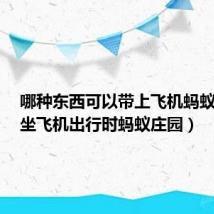 哪种东西可以带上飞机蚂蚁庄园（坐飞机出行时蚂蚁庄园）