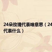 24朵玫瑰代表啥意思（24朵玫瑰代表什么）