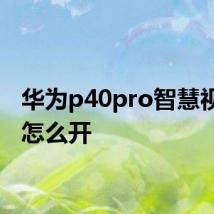 华为p40pro智慧视觉要怎么开