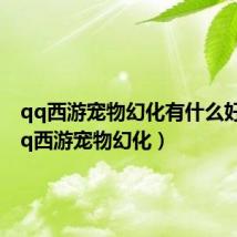 qq西游宠物幻化有什么好处（qq西游宠物幻化）