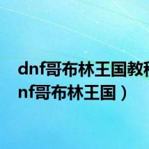 dnf哥布林王国教程（dnf哥布林王国）