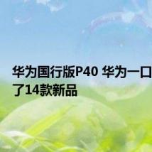 华为国行版P40 华为一口气推出了14款新品