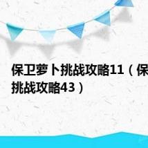 保卫萝卜挑战攻略11（保卫萝卜挑战攻略43）