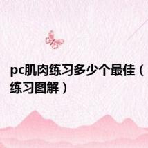 pc肌肉练习多少个最佳（pc肌肉练习图解）