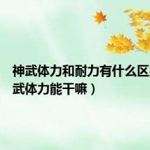 神武体力和耐力有什么区别（神武体力能干嘛）