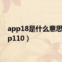 app18是什么意思（app110）