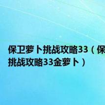 保卫萝卜挑战攻略33（保卫萝卜挑战攻略33金萝卜）