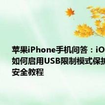 苹果iPhone手机问答：iOS 11.4.1如何启用USB限制模式保护iPhone安全教程