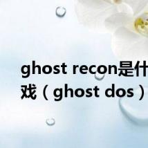 ghost recon是什么游戏（ghost dos）