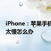 iPhone：苹果手机网速太慢怎么办