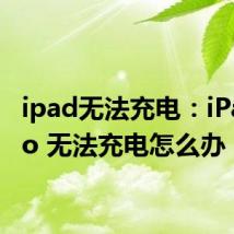 ipad无法充电：iPad Pro 无法充电怎么办