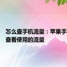 怎么查手机流量：苹果手机怎么查看使用的流量