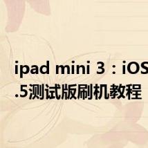 ipad mini 3：iOS 13.4.5测试版刷机教程