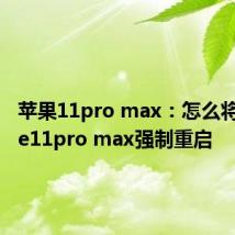 苹果11pro max：怎么将iphone11pro max强制重启