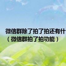 微信群除了拍了拍还有什么功能（微信群拍了拍功能）