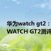 华为watch gt2：华为WATCH GT2测评分析