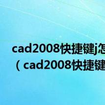 cad2008快捷键j怎么用（cad2008快捷键）