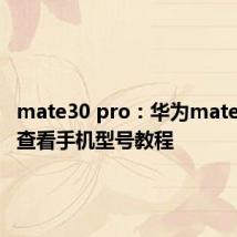 mate30 pro：华为mate30pro查看手机型号教程