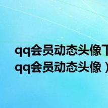 qq会员动态头像下载（qq会员动态头像）