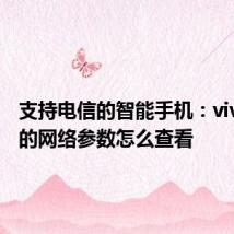 支持电信的智能手机：vivo手机的网络参数怎么查看