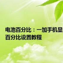 电池百分比：一加手机显示电池百分比设置教程