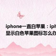 iphone一直白苹果：iphonex显示白色苹果图标怎么办