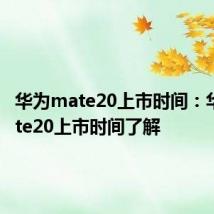 华为mate20上市时间：华为mate20上市时间了解