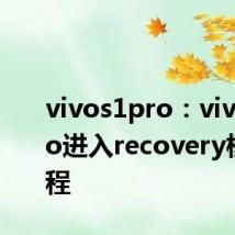 vivos1pro：vivoS1pro进入recovery模式教程