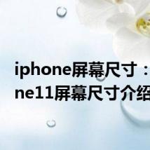 iphone屏幕尺寸：iphone11屏幕尺寸介绍