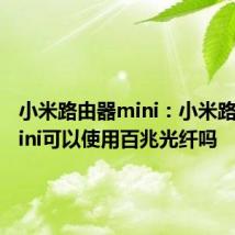 小米路由器mini：小米路由器mini可以使用百兆光纤吗