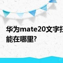 华为mate20文字扫描功能在哪里?