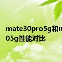 mate30pro5g和mate305g性能对比