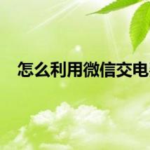 怎么利用微信交电费