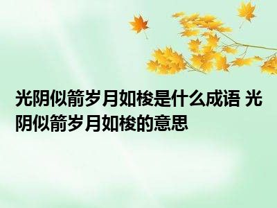 岁月如梭的拼音图片