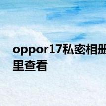 oppor17私密相册在哪里查看