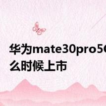 华为mate30pro5G版什么时候上市