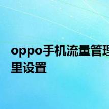 oppo手机流量管理在哪里设置