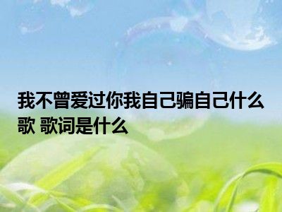 我不曾爱过你我自己骗自己什么歌 歌词是什么