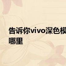 告诉你vivo深色模式在哪里