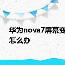 华为nova7屏幕变黑白怎么办