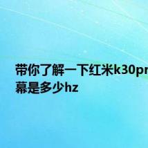 带你了解一下红米k30pro的屏幕是多少hz